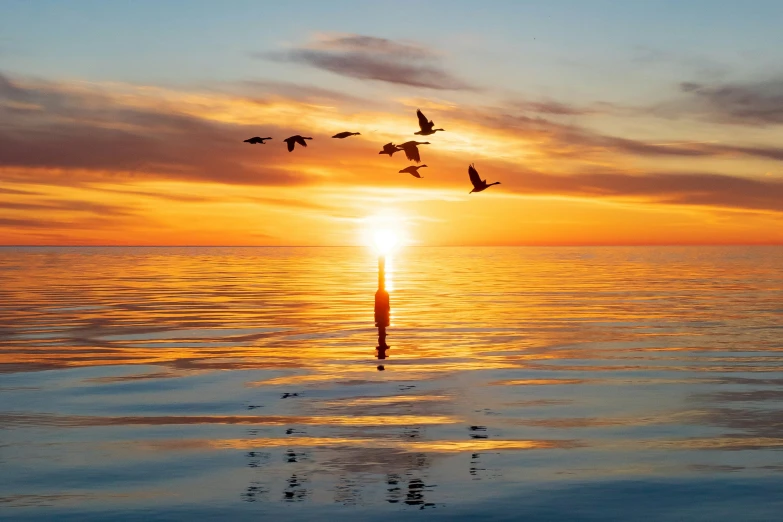a sunset over the ocean with birds flying in the sky