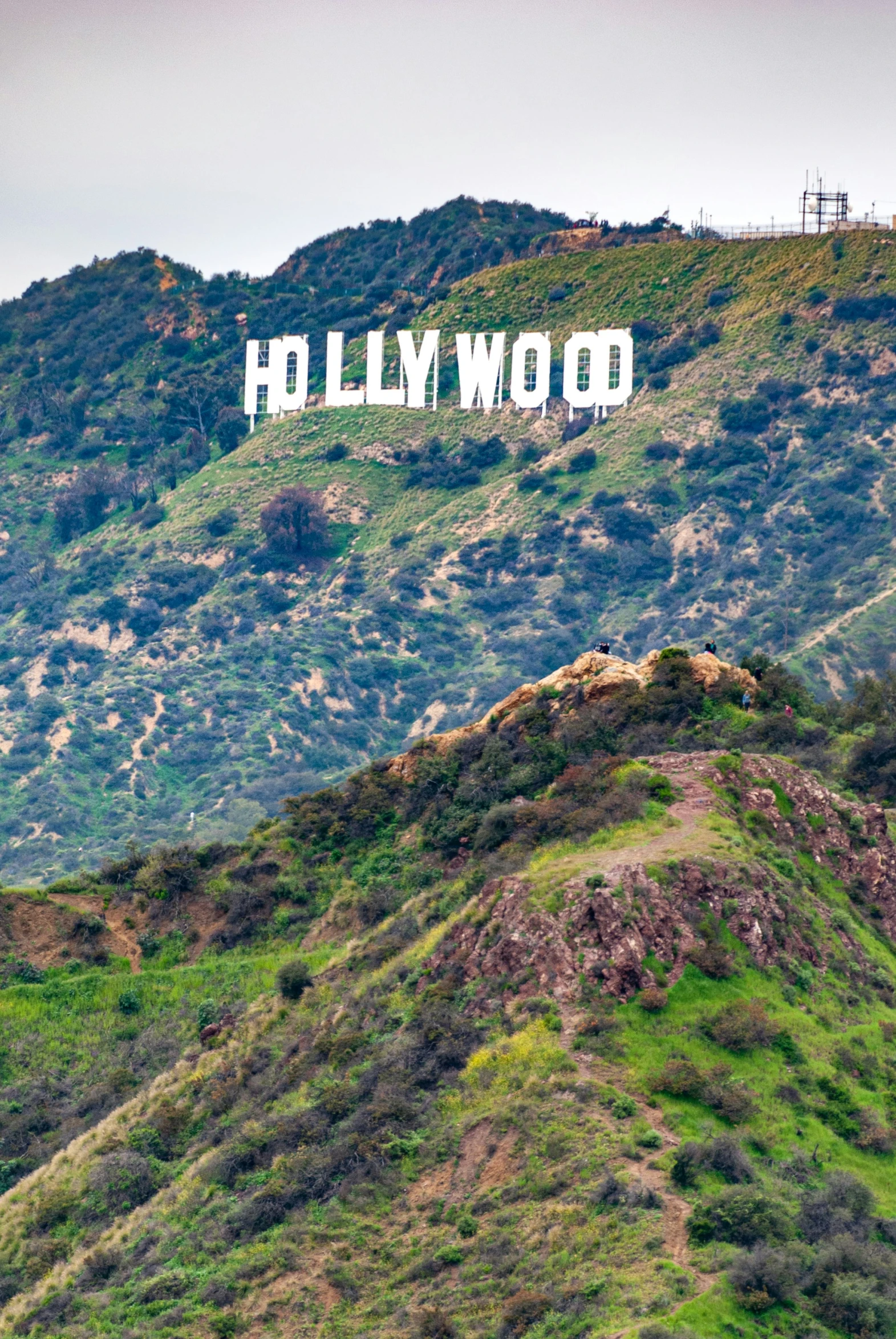 the hollywood sign atop the hill above some trees