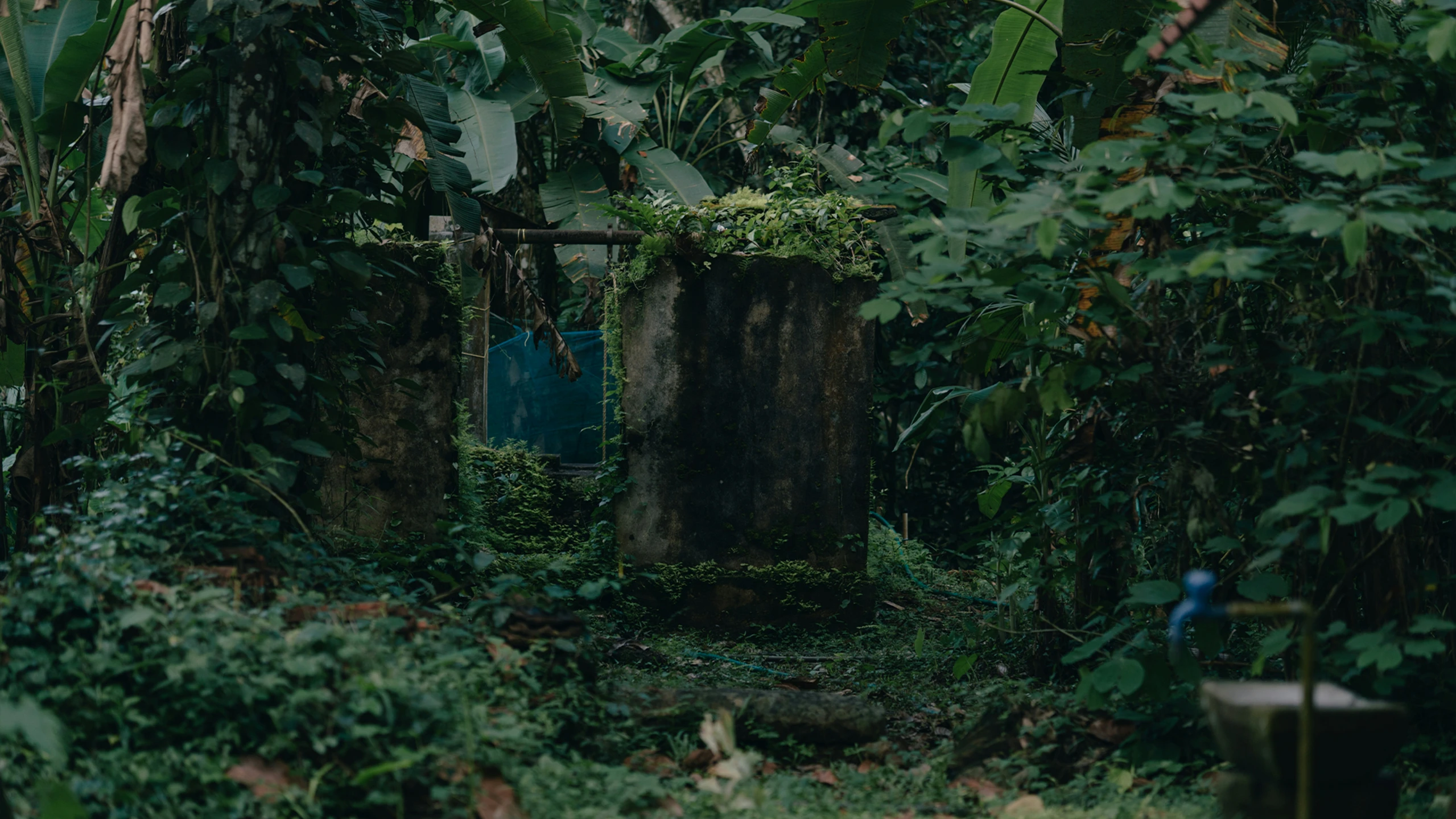 a dirt bench sitting in the middle of some green trees