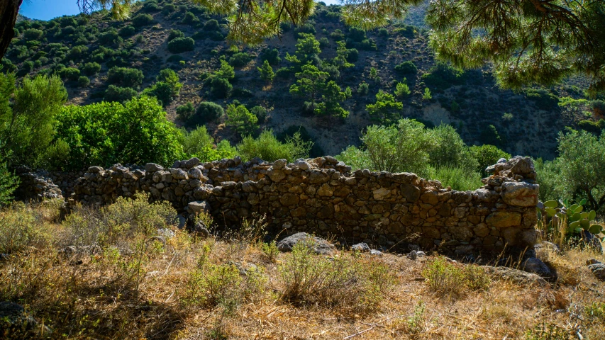 an old rock wall near trees and mountain range