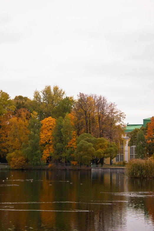 a body of water with trees in the background