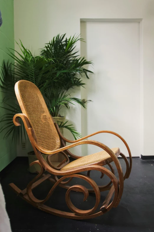 a rocking chair and potted plant in an office