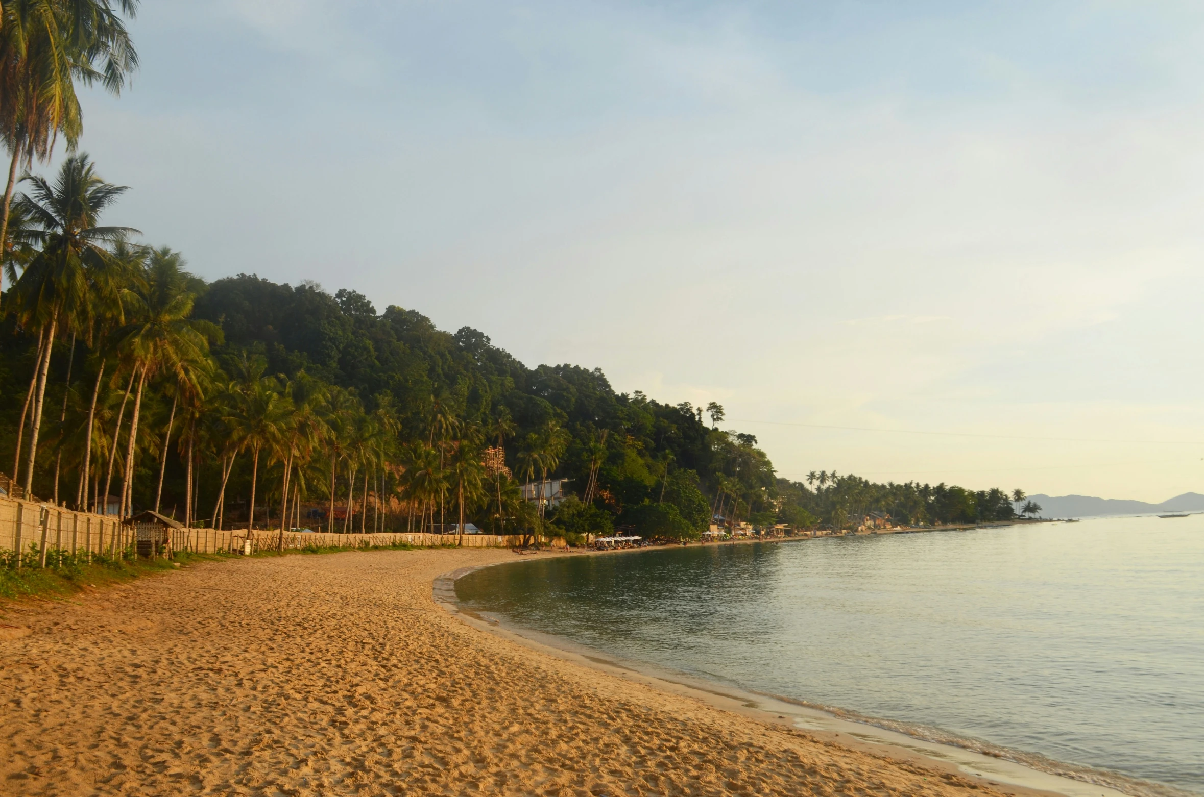 an image of a beach scene on a nice day