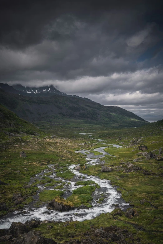 a small stream running through a lush green landscape