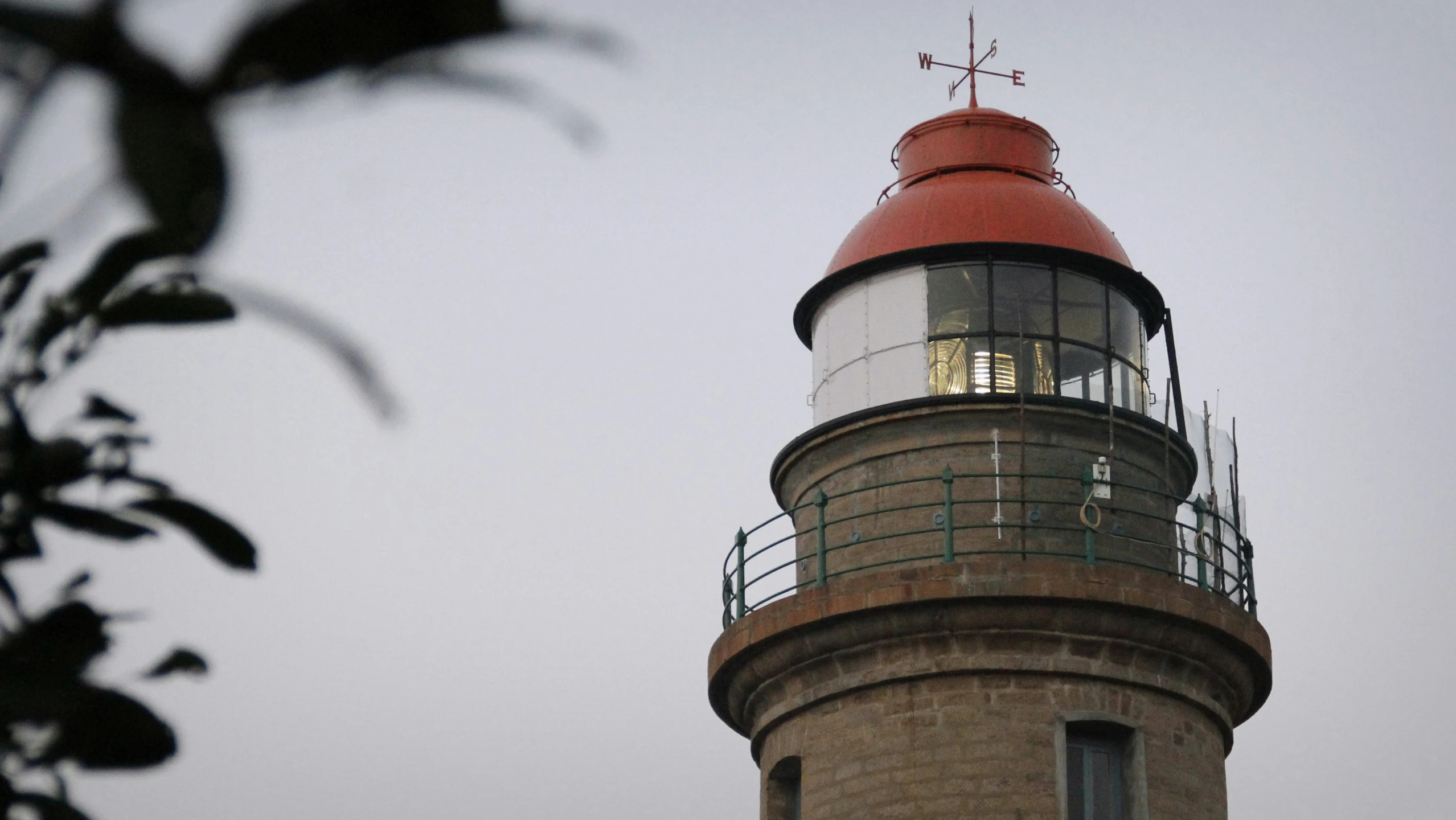 a light house is shown behind a plant