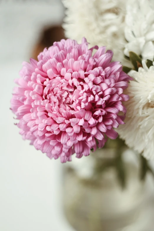 pink and white flowers sitting in a vase