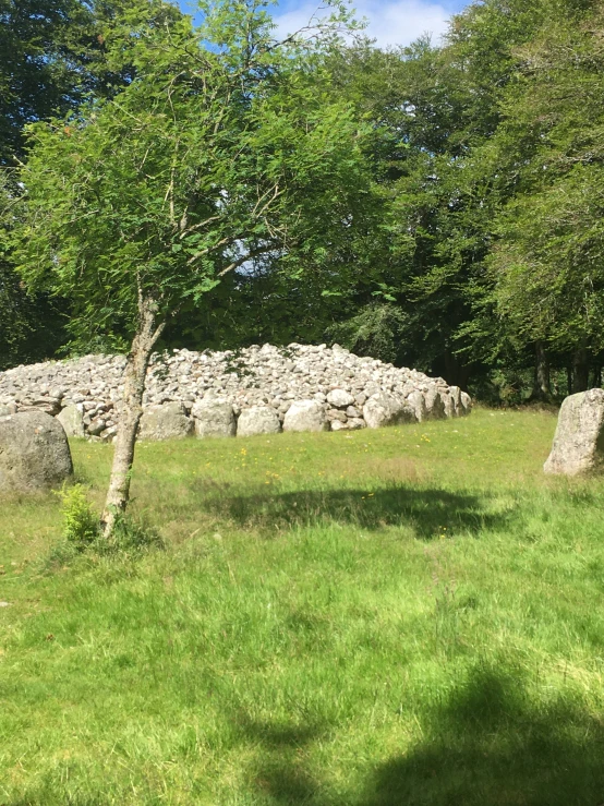 a green field with stones that appear to have been constructed by people