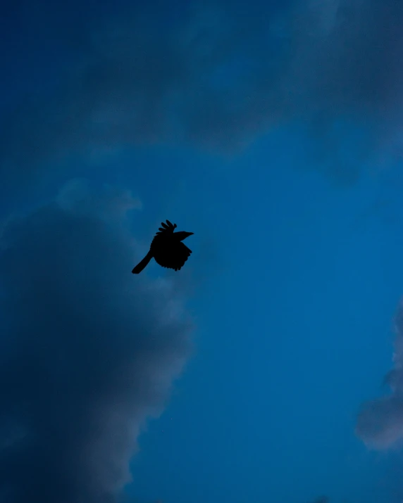 a bird flying across the sky in a cloudy blue day