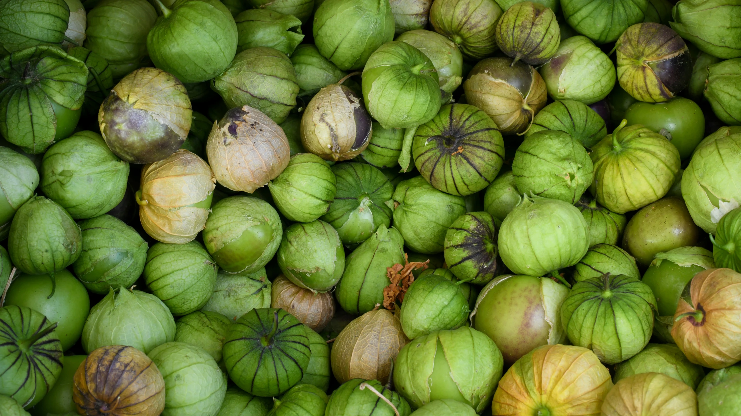 a pile of green and yellow fruit sitting next to each other