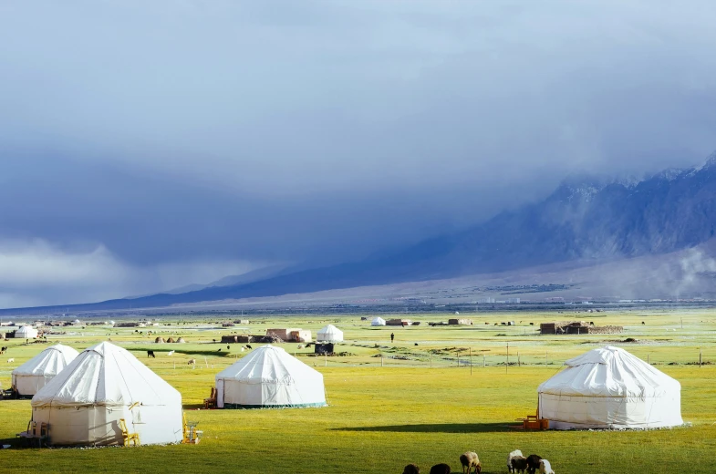 several tents in the middle of a green field