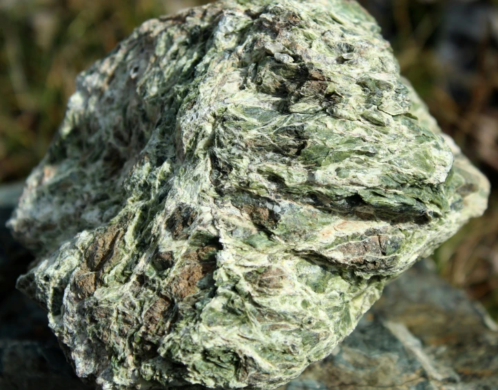 green moss growing on a rock with other rocks