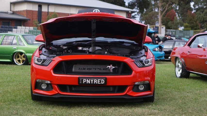 an orange and black car on grass with other cars behind it