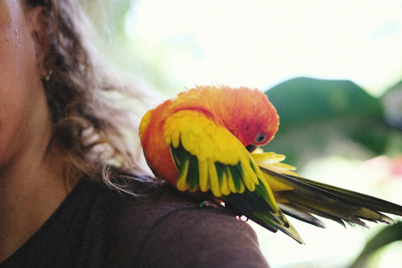 a small bird sitting on the back of a woman