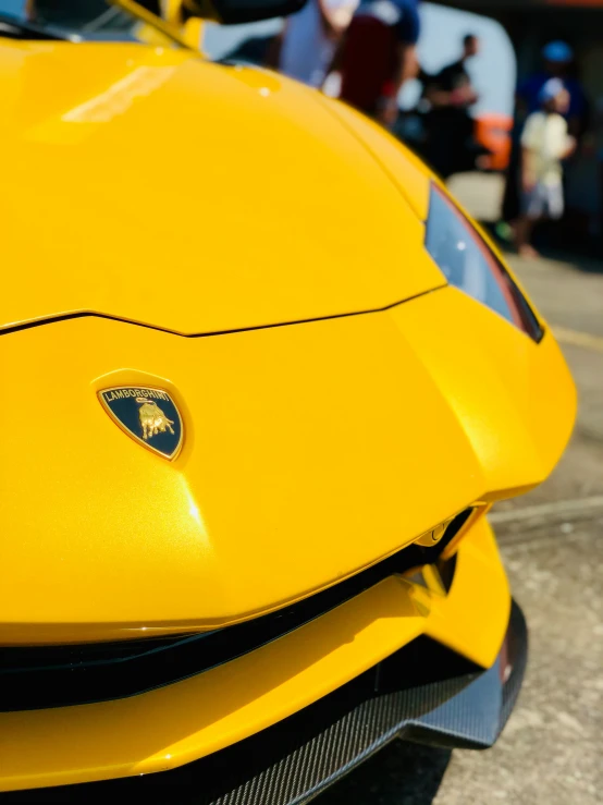 a close up view of a yellow lambino