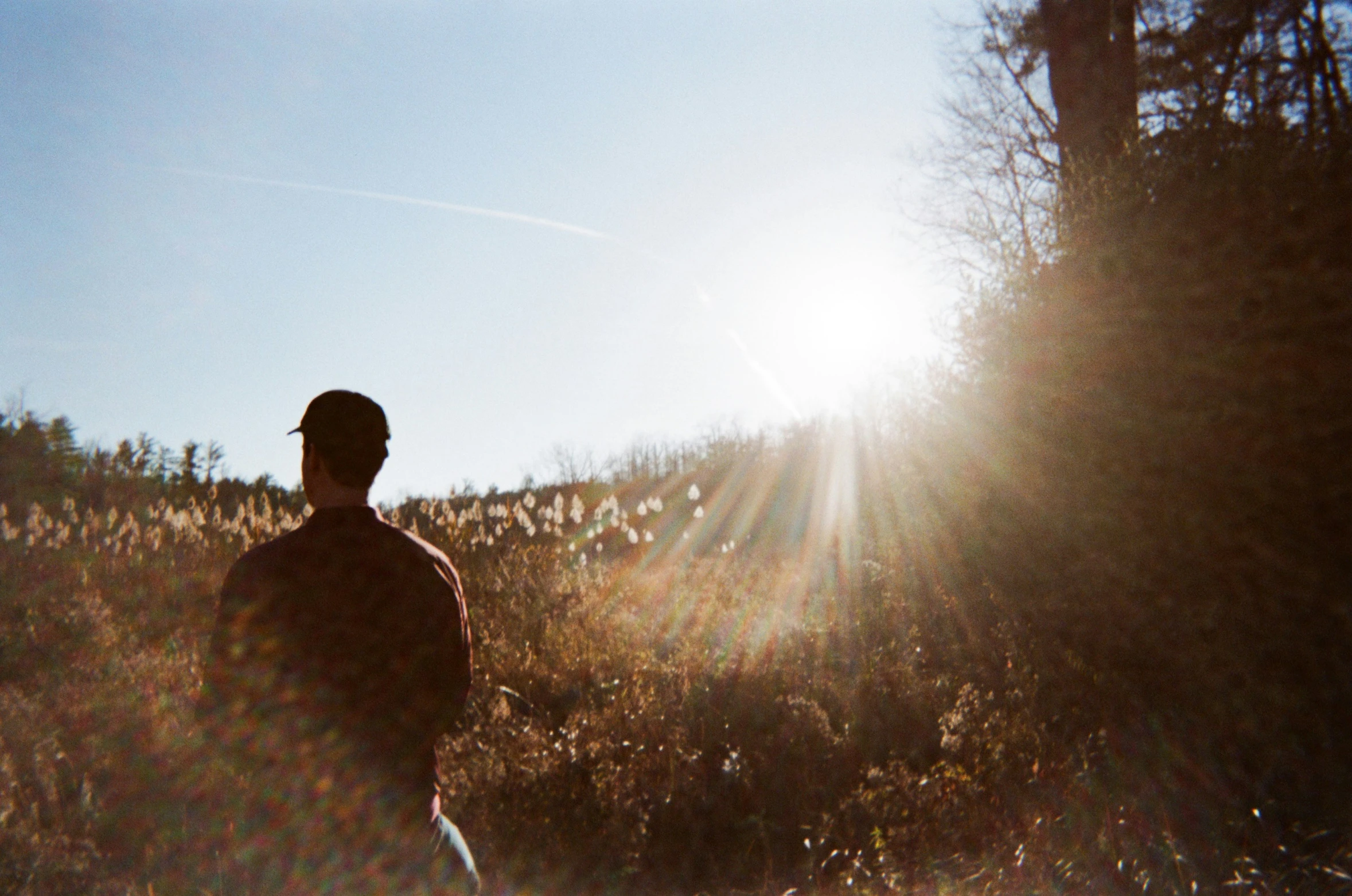 man standing alone near trees and grassy area