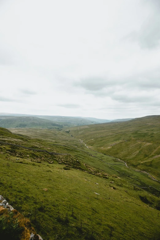 the view from a hill shows the grass and trees