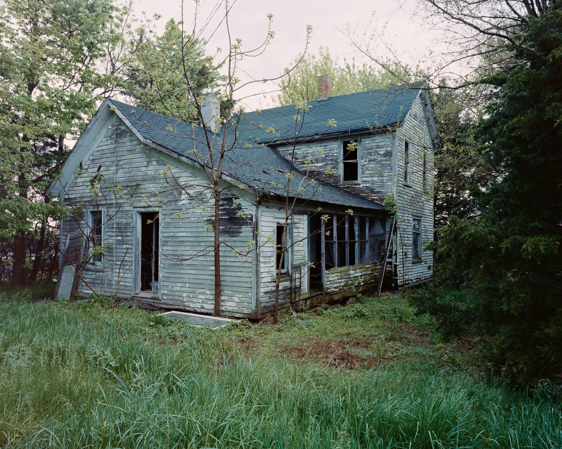 an abandoned farmhouse sits in the woods