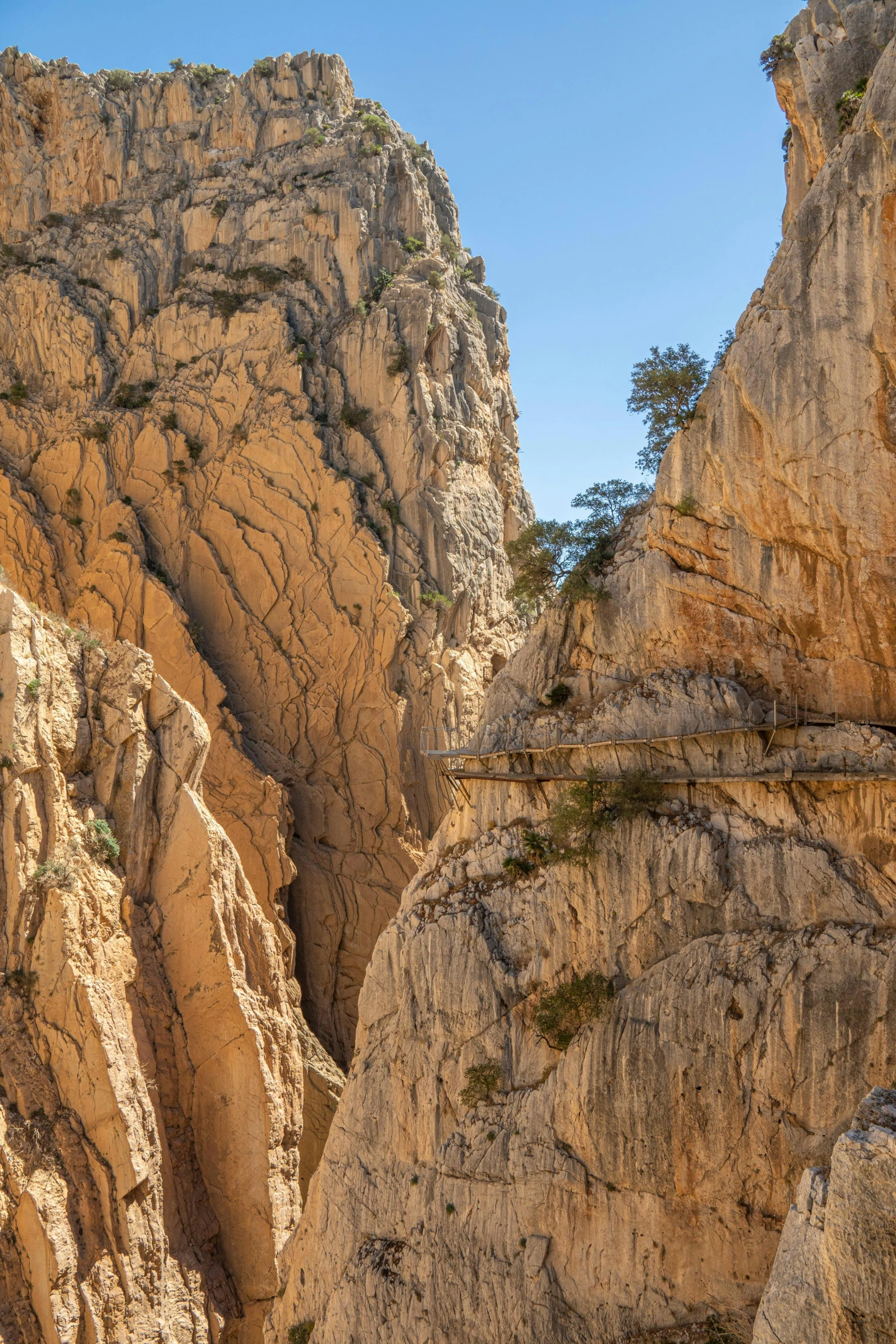 a scenic view of cliffs and a body of water