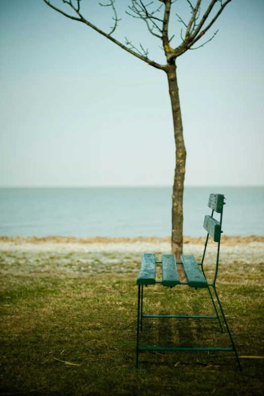 a chair near the water under a tree