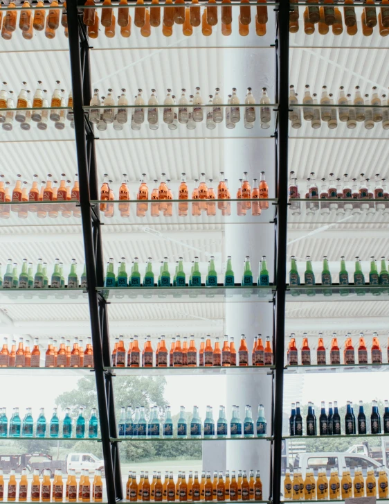 a large display case filled with lots of bottles