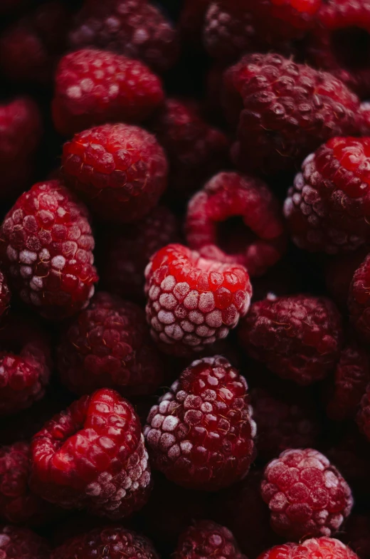 a pile of berries covered in ice