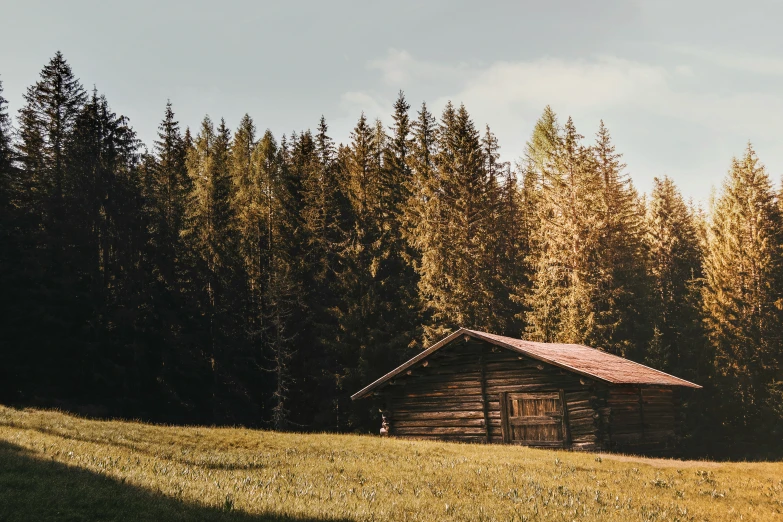 a cabin in front of trees that is almost gone