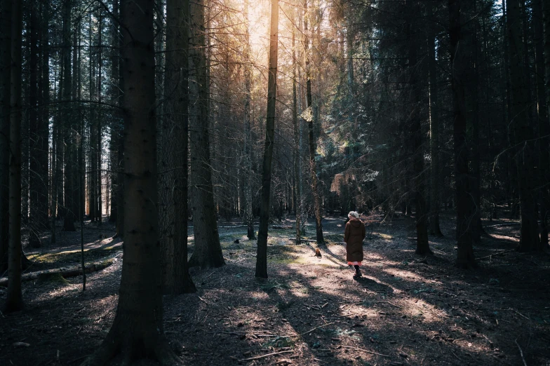 a person walking in the middle of a forest