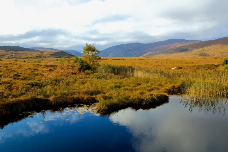 a lake on the side of a grassy field