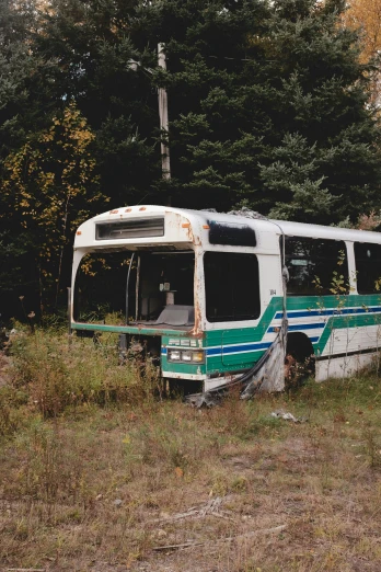 a green and white bus that is parked