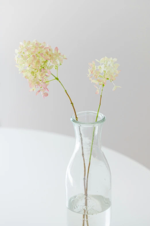 two flowers sitting in a vase with water