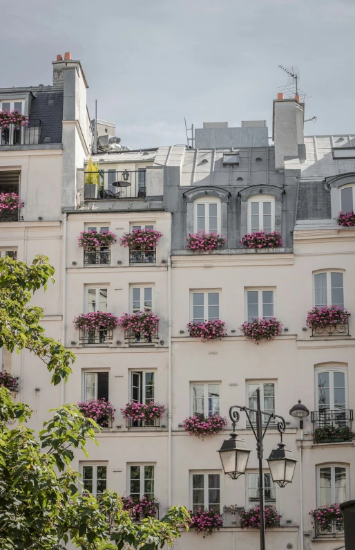 an image of apartment buildings with flowers