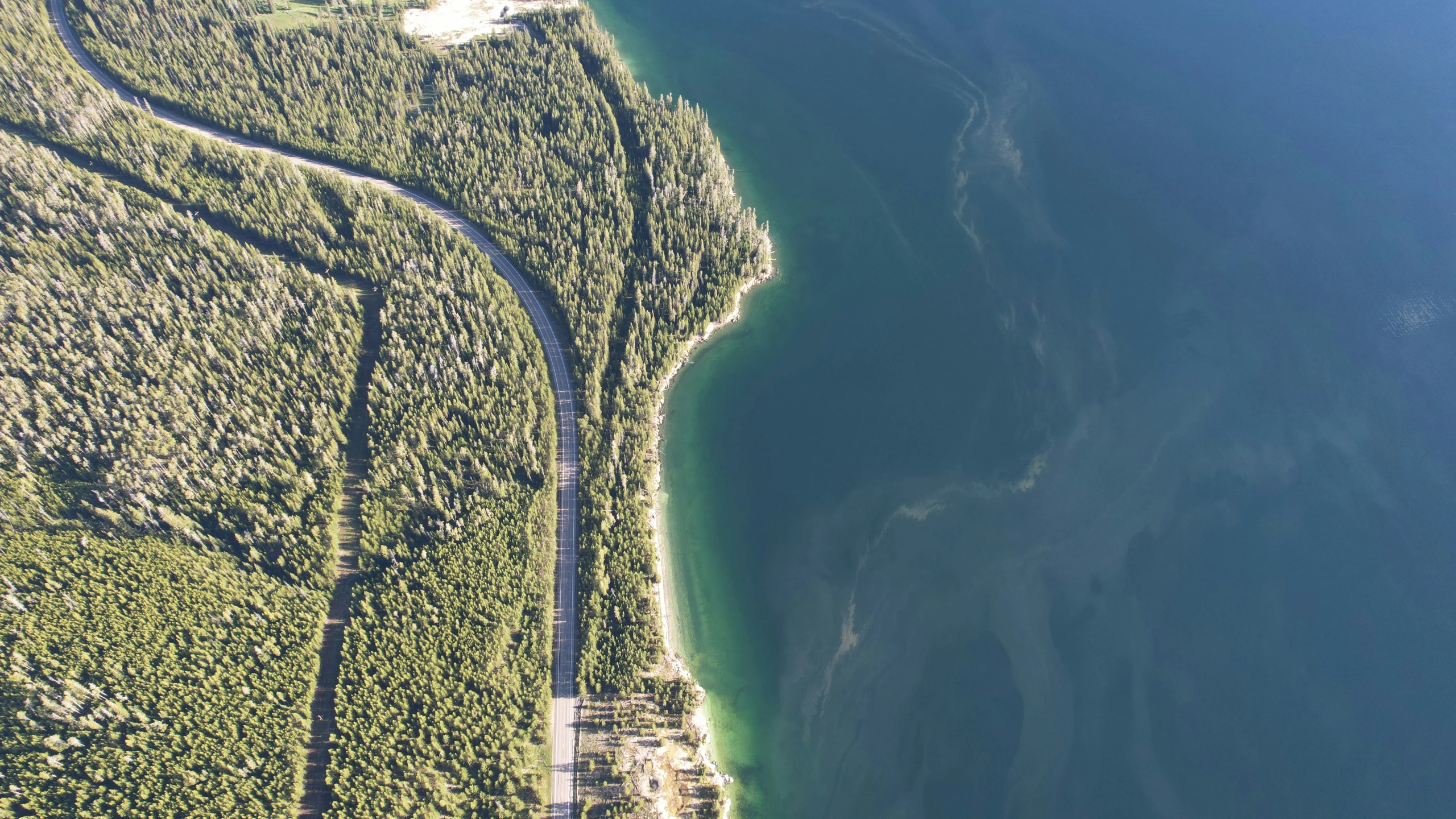 an aerial po of a lake that is green