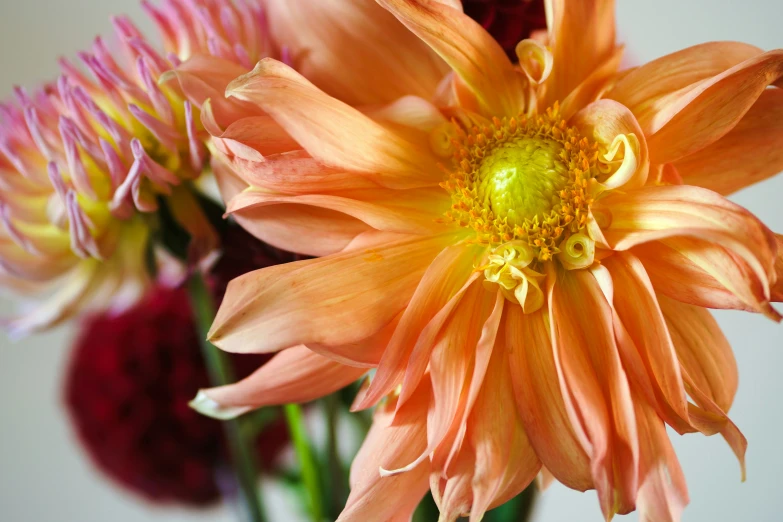 orange flowers are sitting in a glass vase