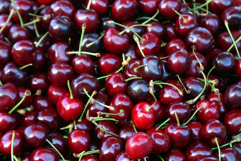 the cherries are close together in a pile