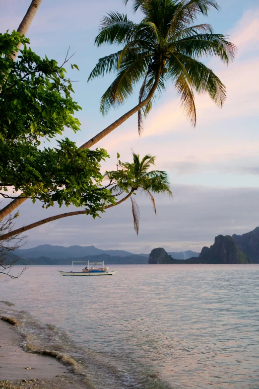 an ocean and beach with palm trees, a boat, and some mountains