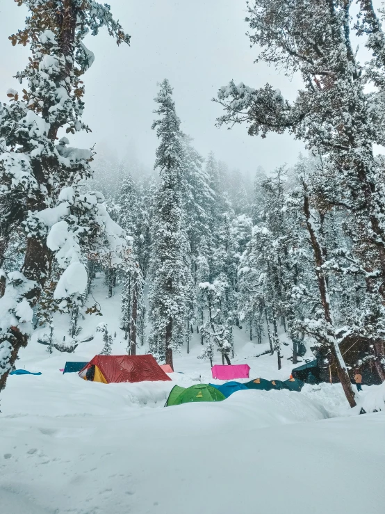 multiple tents are set up in the snow near trees