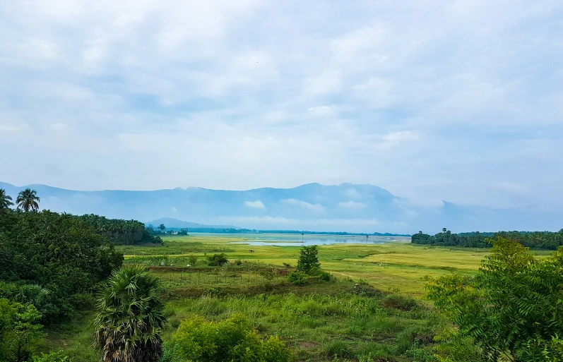 the view over a green field with mountains in the distance