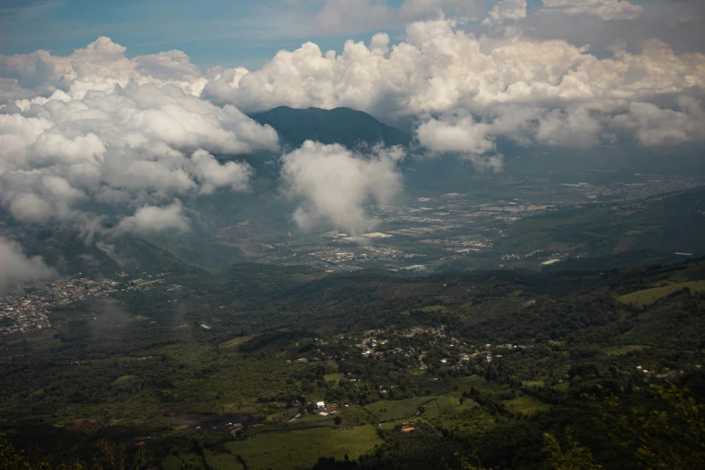 view of the city and trees from a height up in the clouds