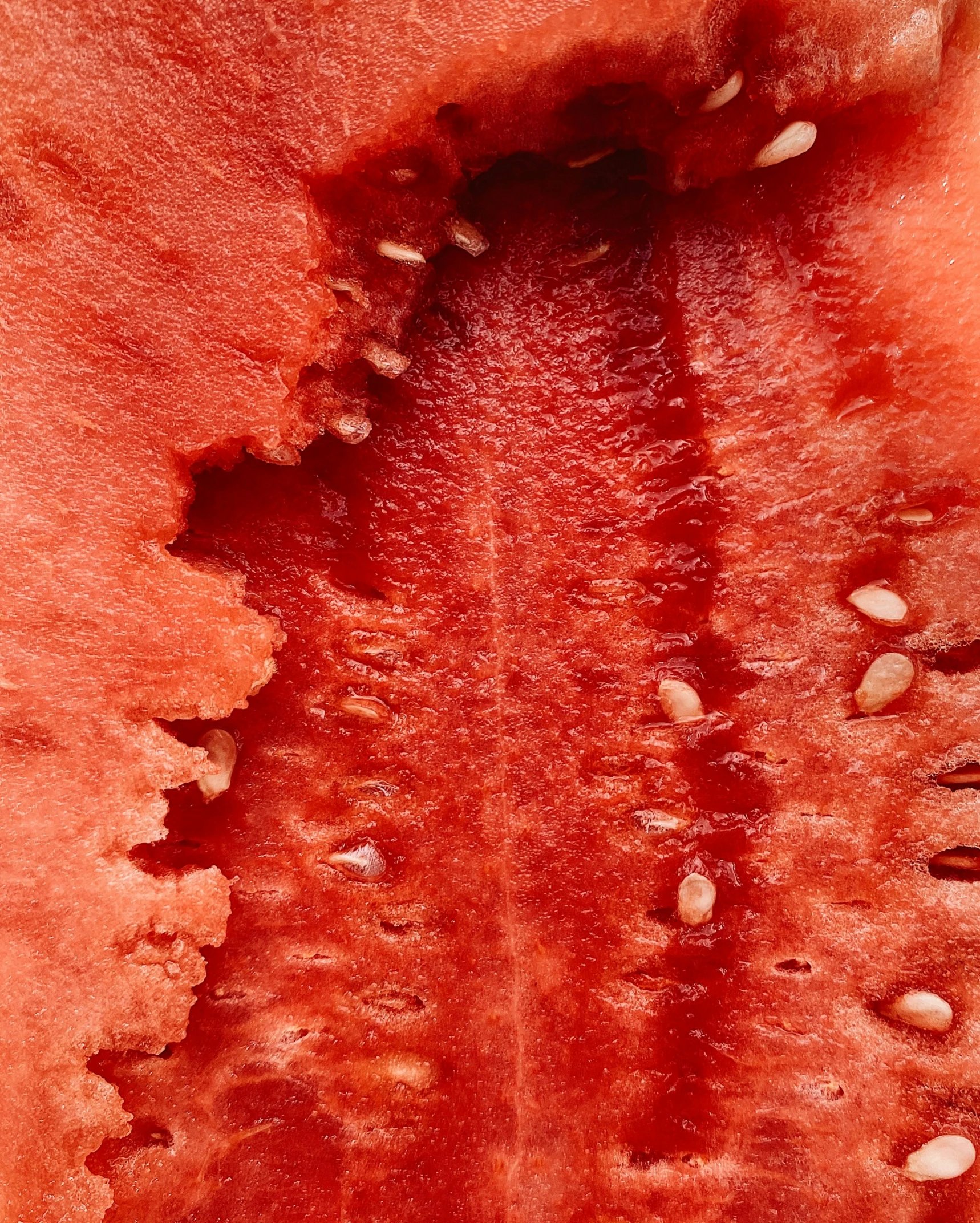 a watermelon is showing red, slightly reddish, streaks