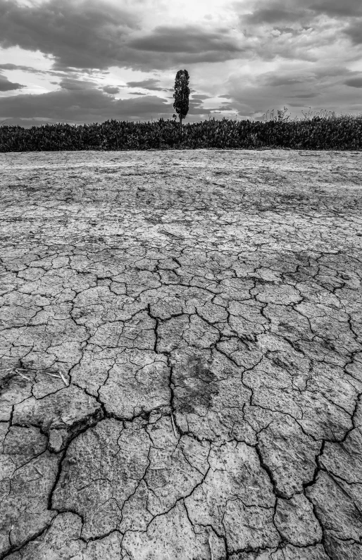 an empty field with a small stop sign