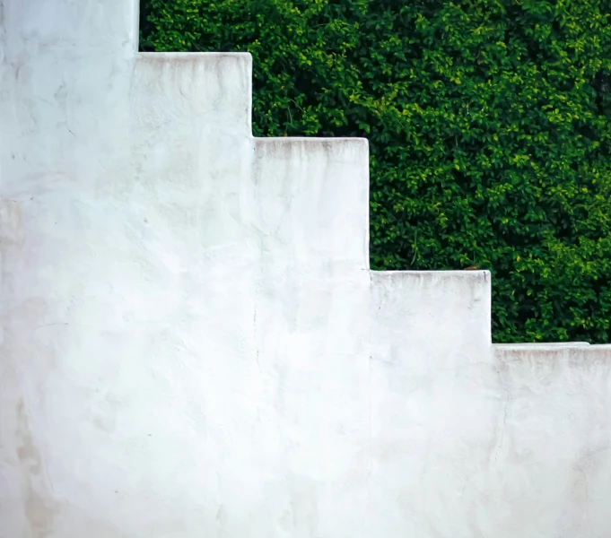 three white stairs are going up a tree covered hill