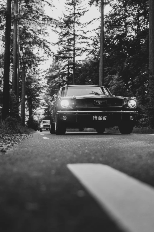 a car is driving down the street in the forest