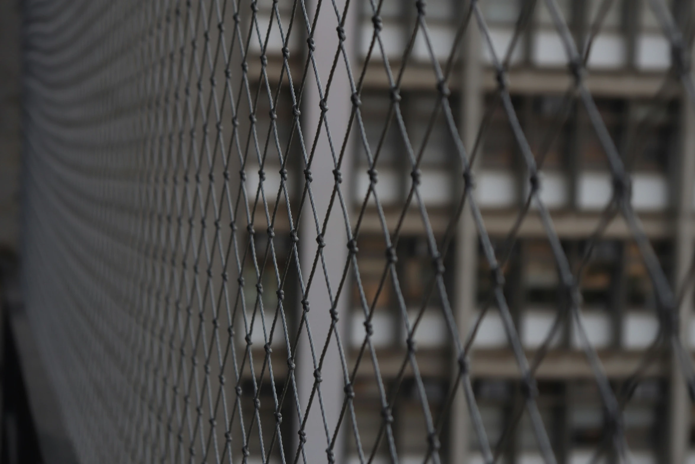 a bird is seen sitting on the side of the fence