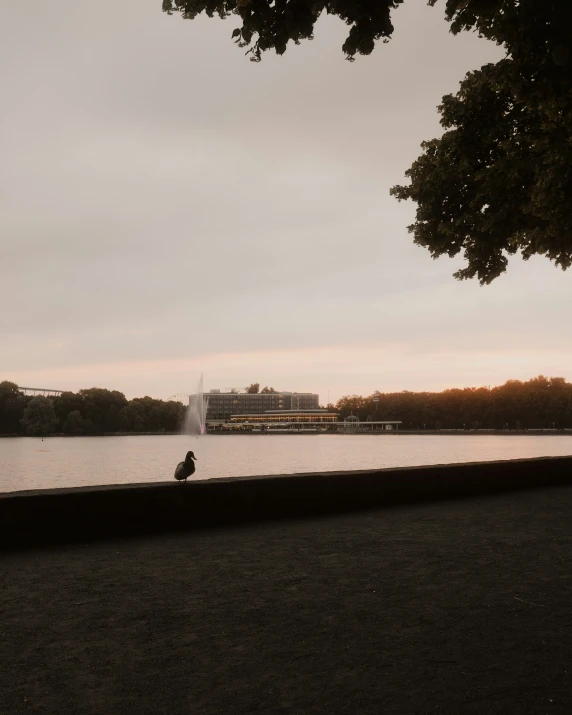 people riding on the edge of a body of water