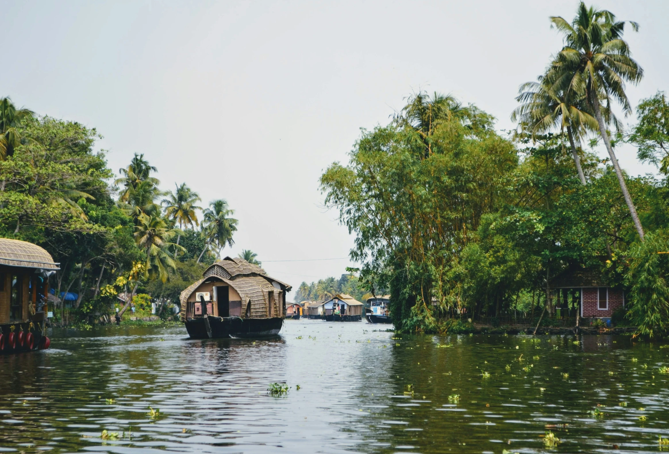 the houses are on the water by the trees