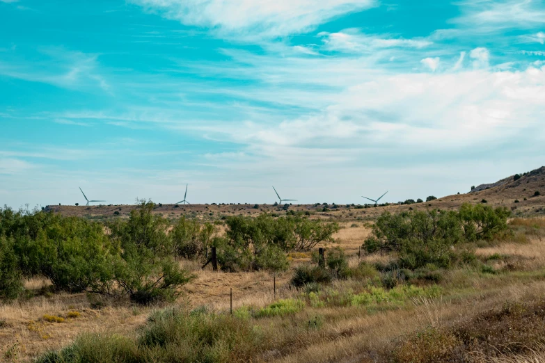 the landscape is very grassy and dry but the blue sky has clouds