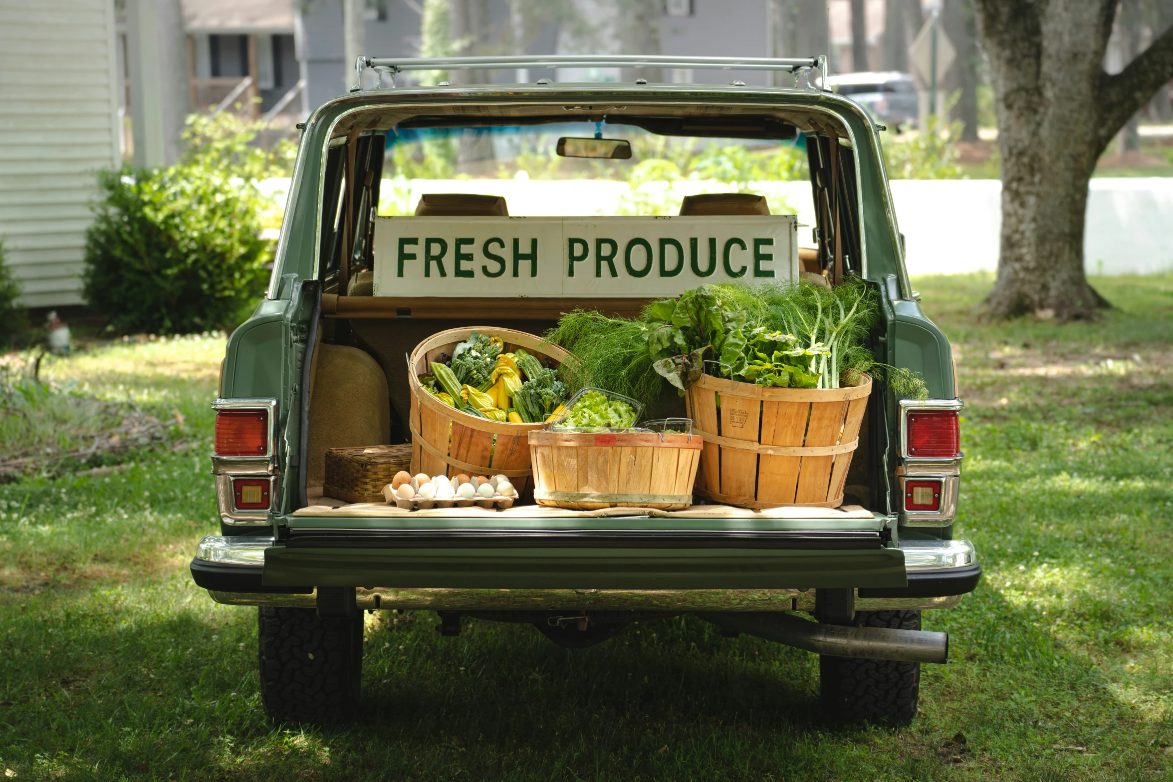 a green truck that is parked in the grass