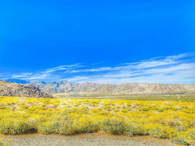 a view looking down an open field in the desert