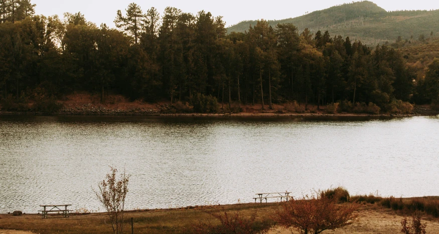 trees, mountains and water stand along the shore