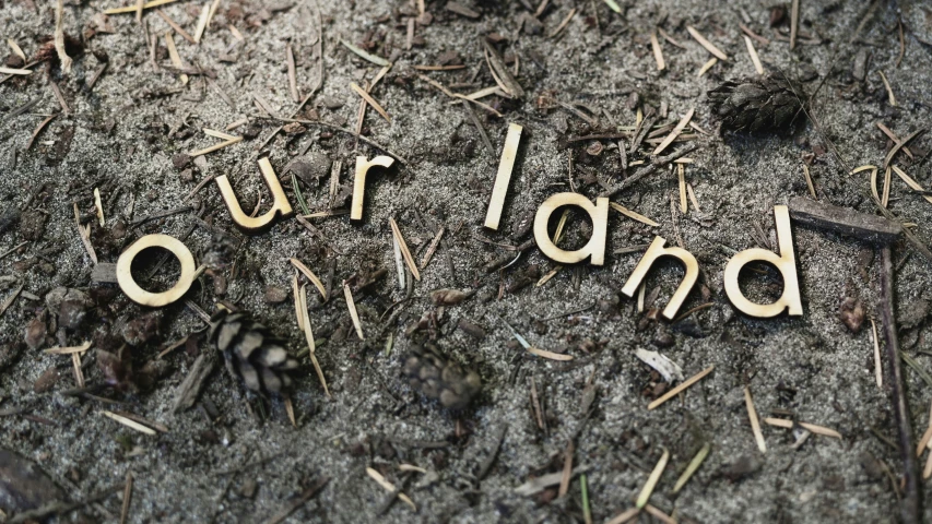 wooden letters spelling out name with wood tips